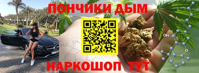 дурь Камышлов