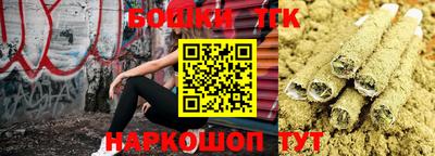 дурь Камышлов