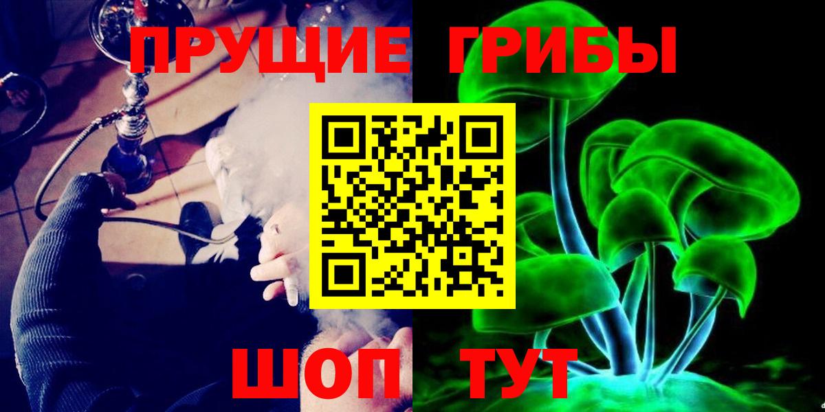Псилоцибиновые грибы Psilocybe  Вход с VPN  Дагестанские Огни 